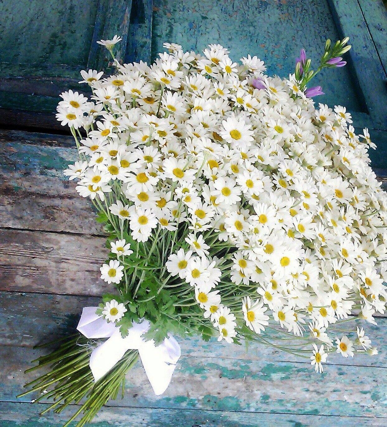 Мойчечак Гули