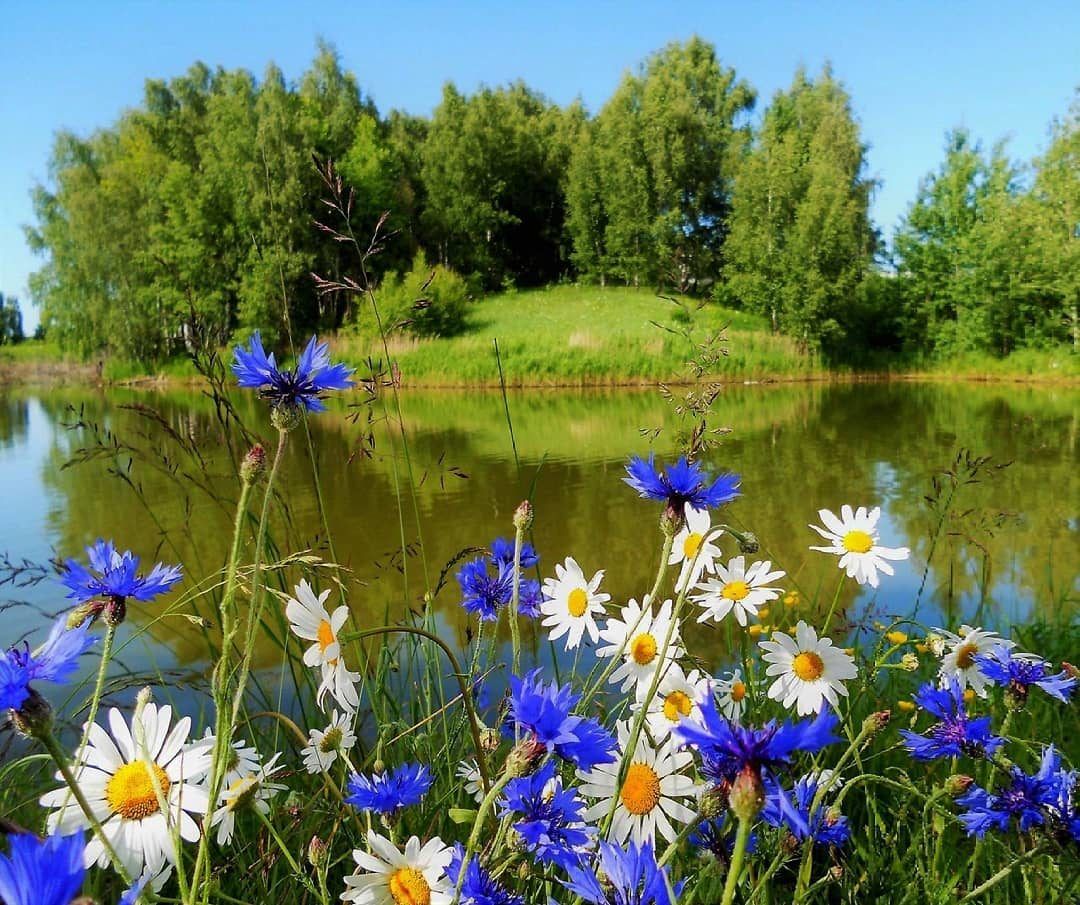 Красивые летние пейзажи