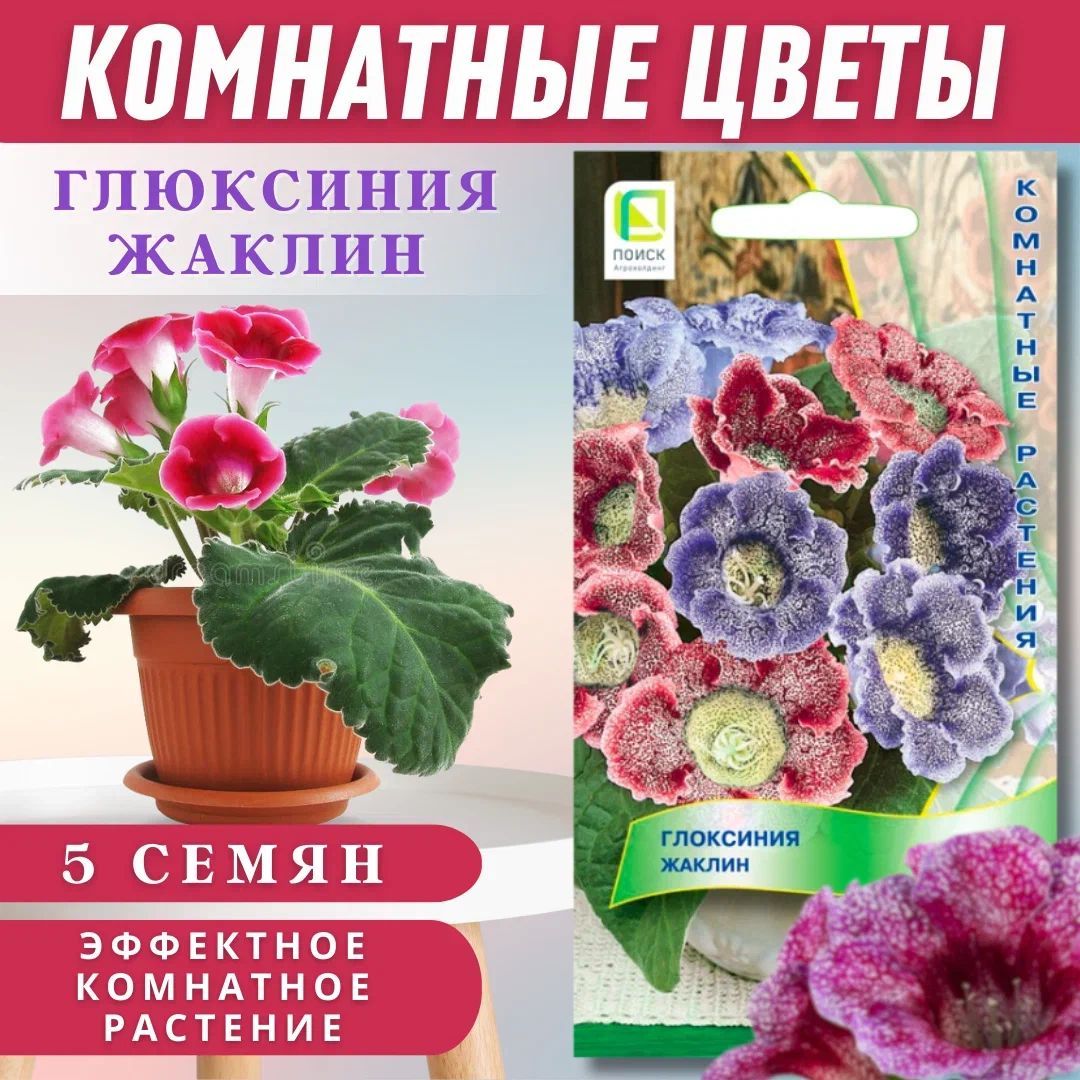 Комнатные цветы глоксиния