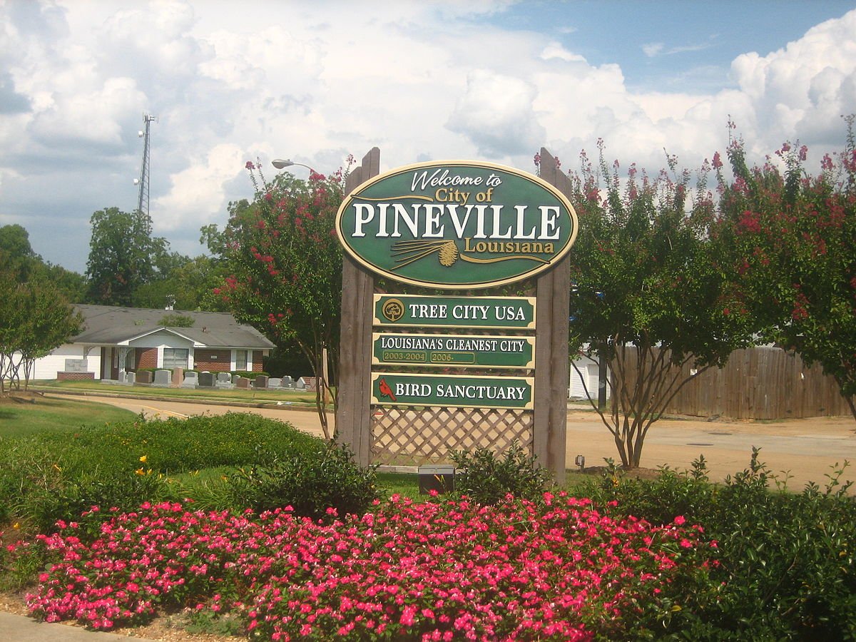 Луизиана (Louisiana) роза в саду