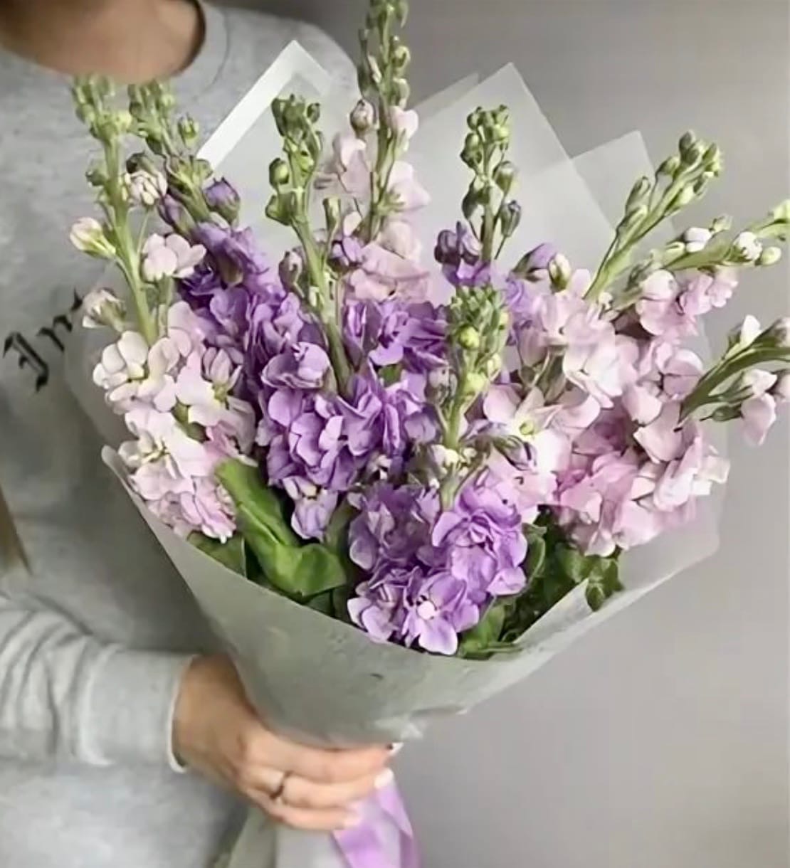 Маттиола Лавандовая