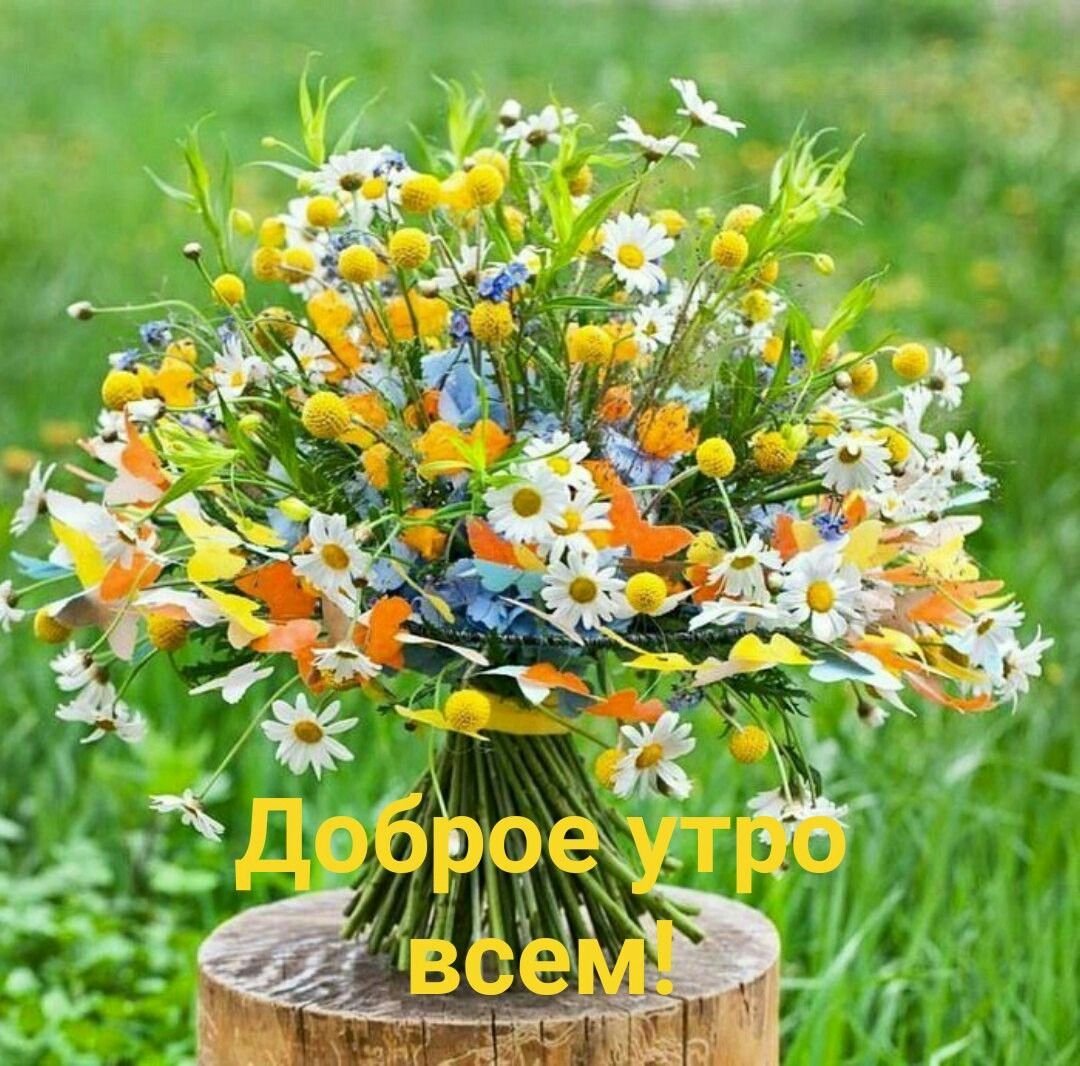 Букет полевых цветов
