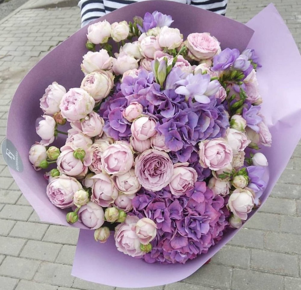 Пионовидная Лавандовая роза