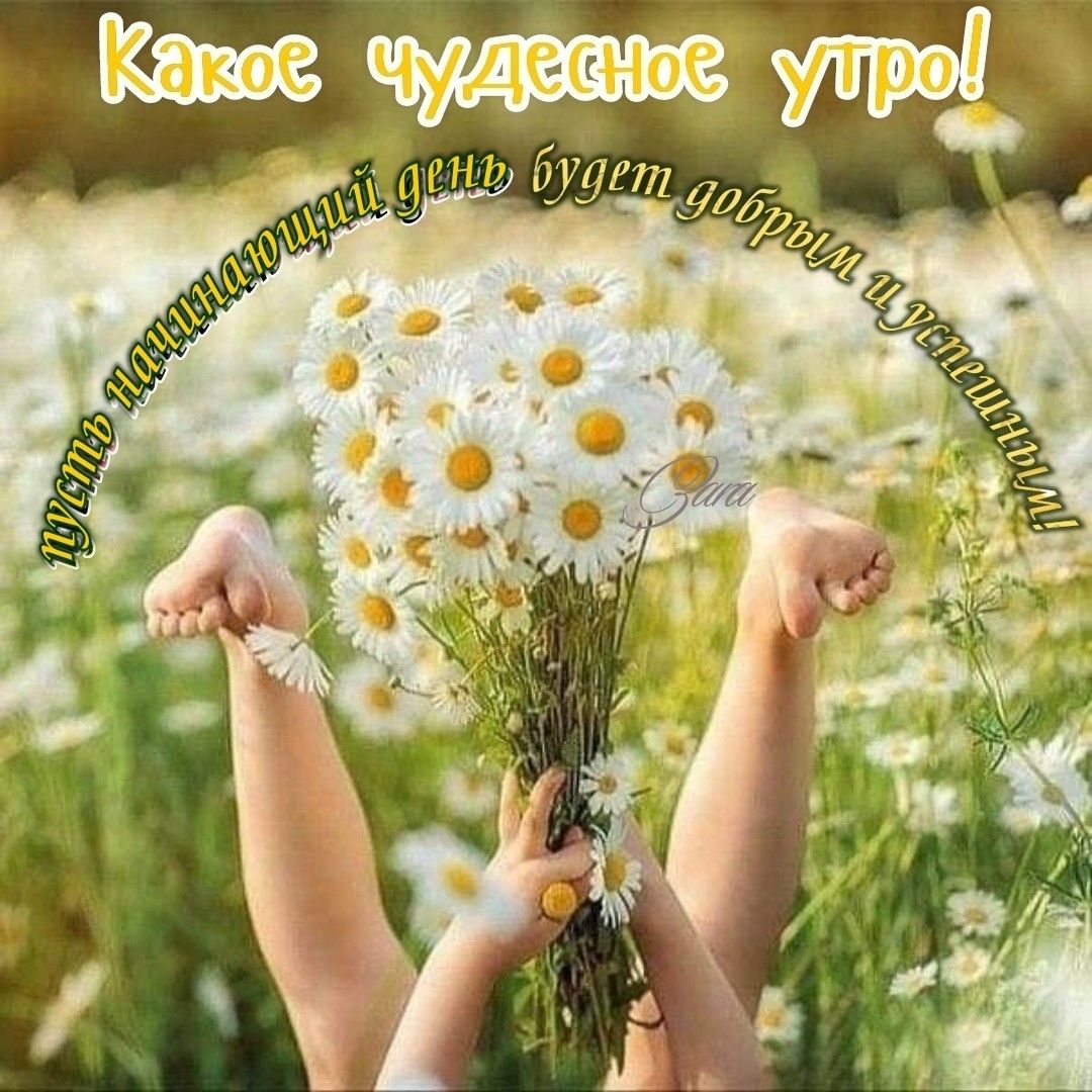 Букет ромашек