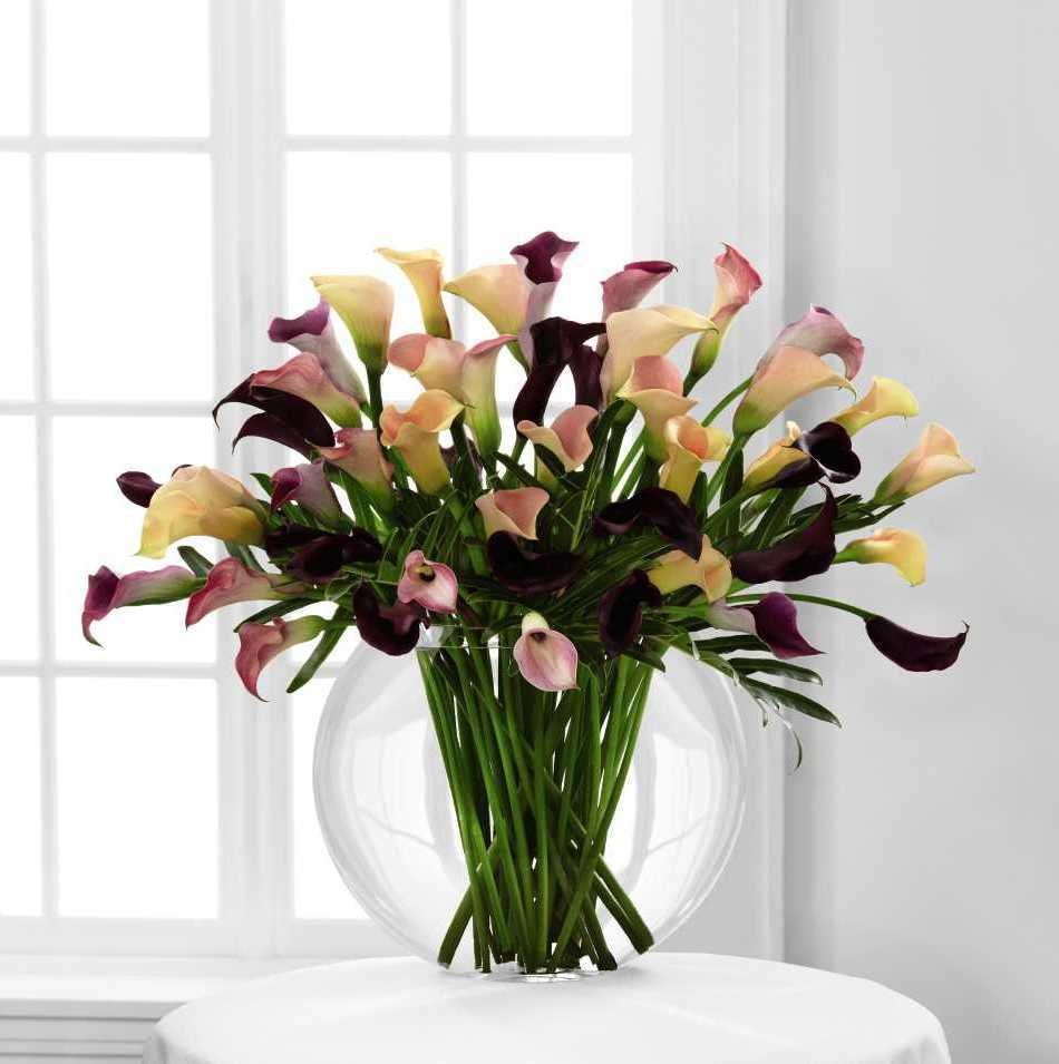 Calla Lily букет цветов