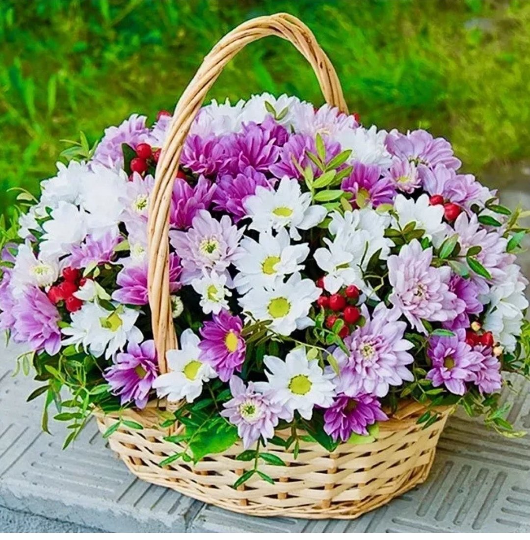 Красивые корзины с цветами