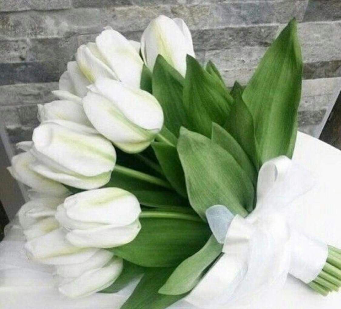 Тюльпан White Bouquette