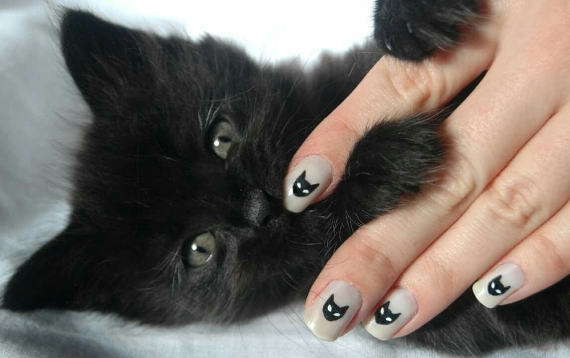 Маникюр с кошками на короткие ногти