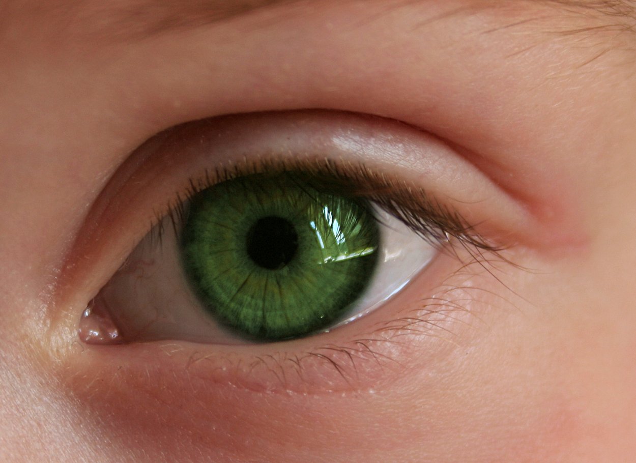 Светло зеленый цвет глаз