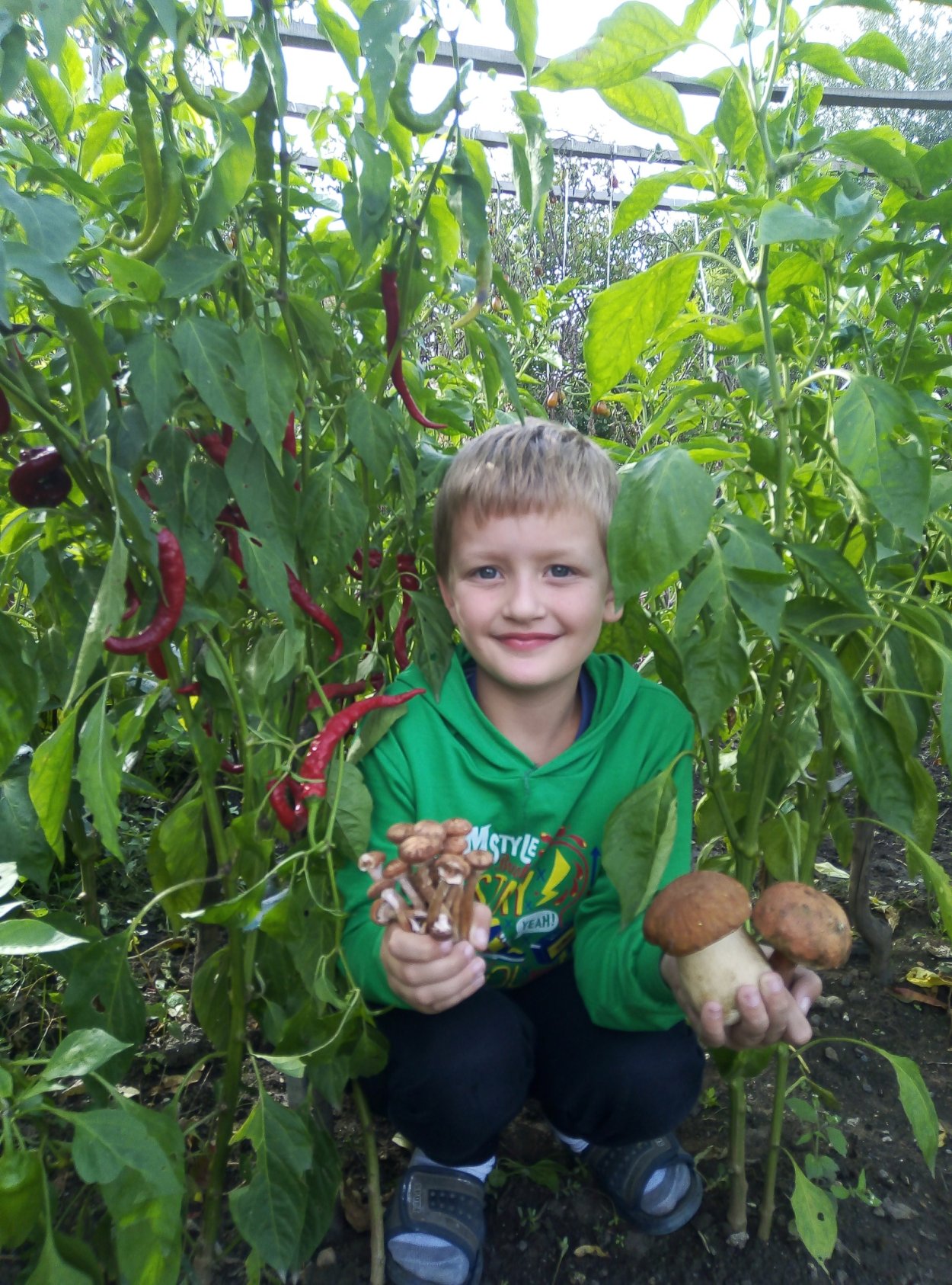 Полезные огурец держит мальчик 5 лет