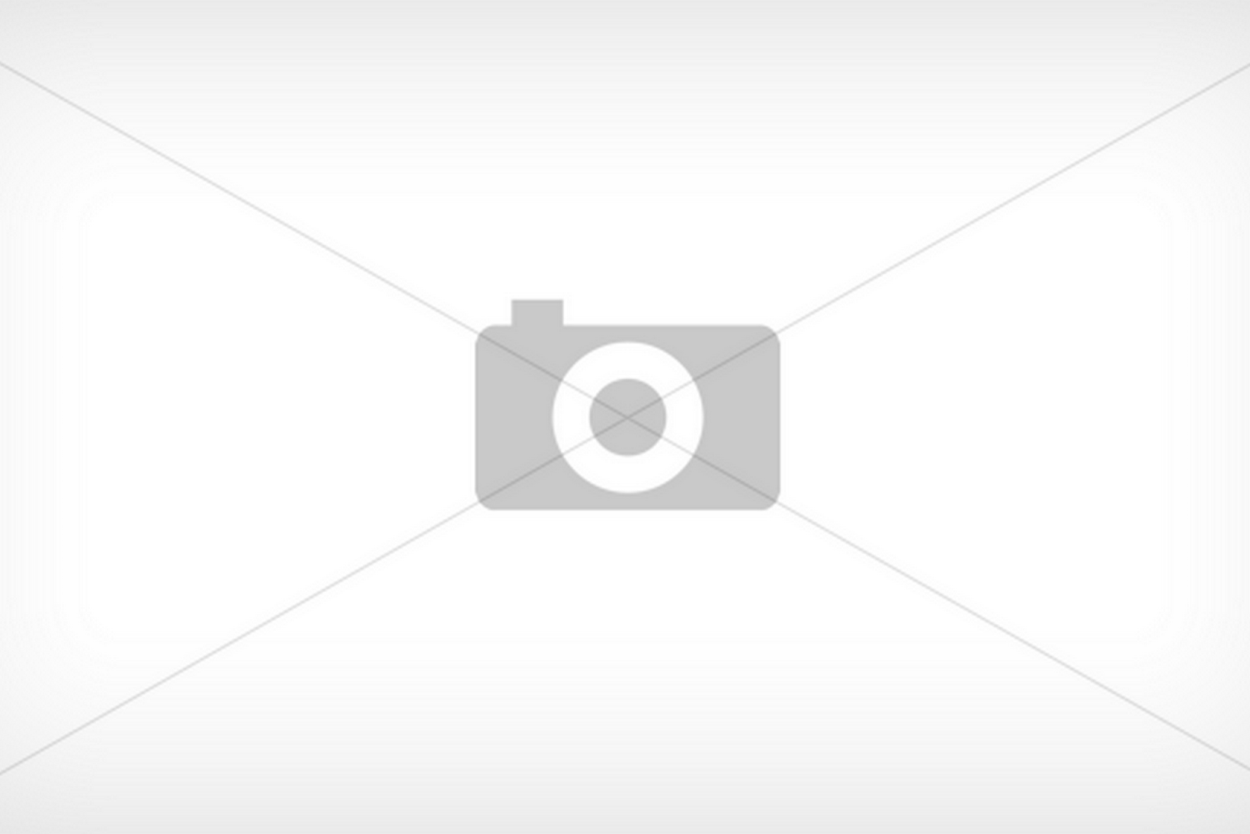 Delonghi icm16210.WS