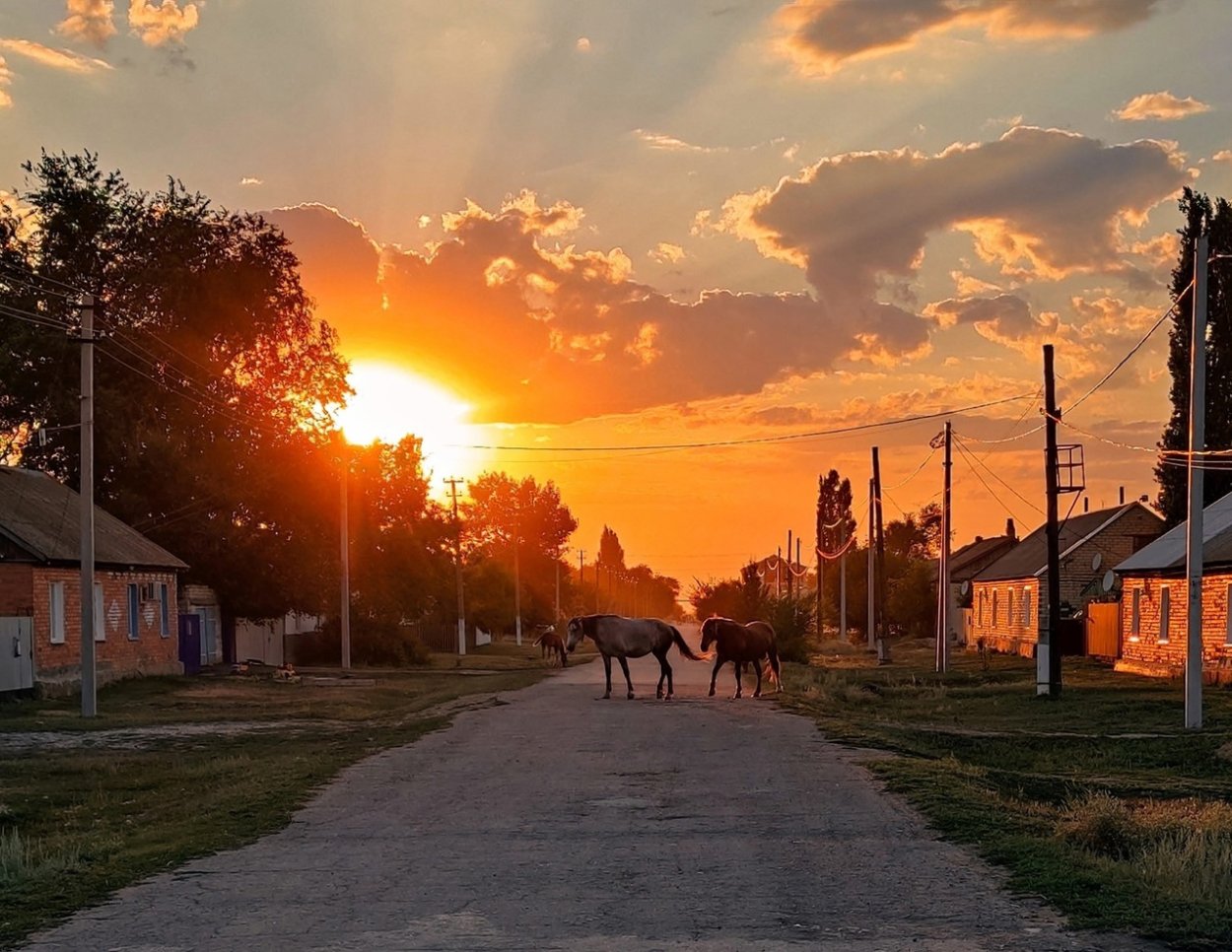 Станица Мелиховская