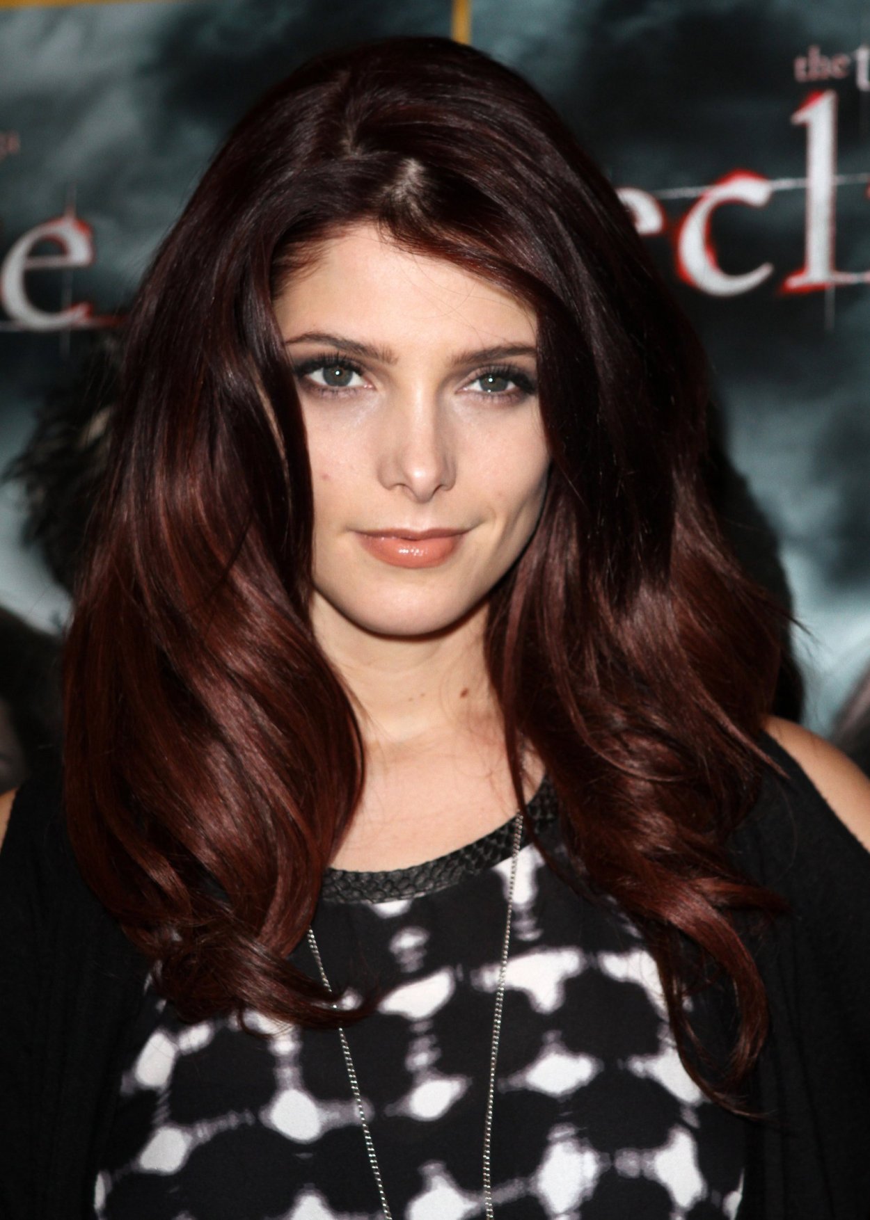 Цвет волос Dark Auburn Brown