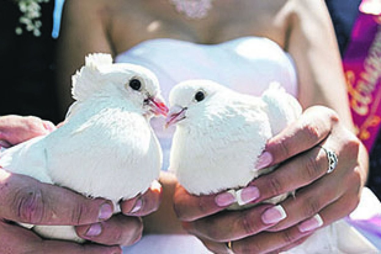 Newlyweds with dove