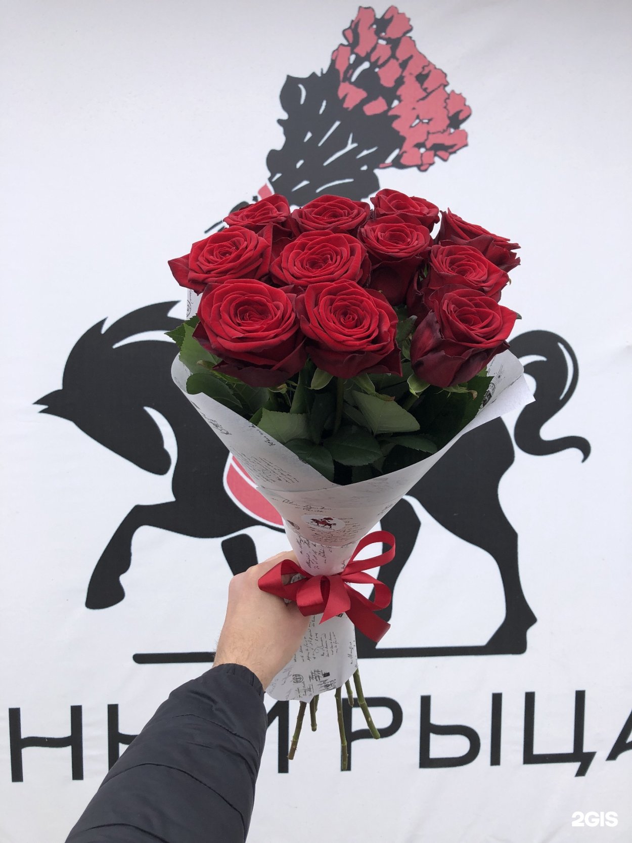 Черный рыцарь цветы Воронеж