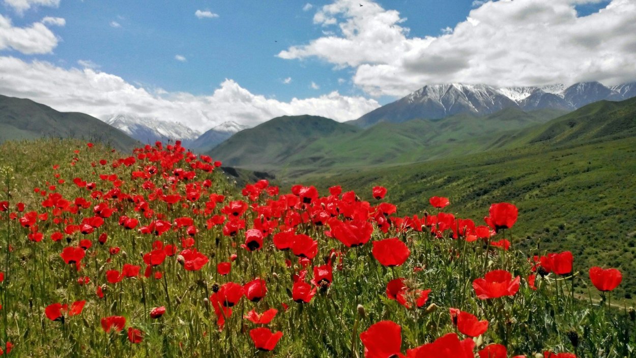 Киргизия горы Тянь-Шань