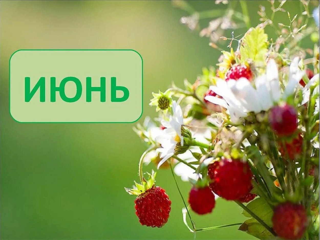 9 Июля праздник Давид земляничник