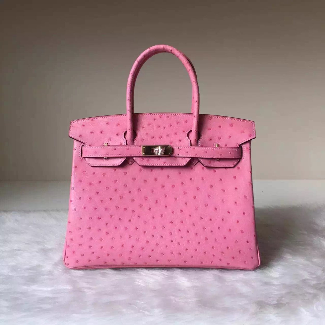 Hermes Birkin 25