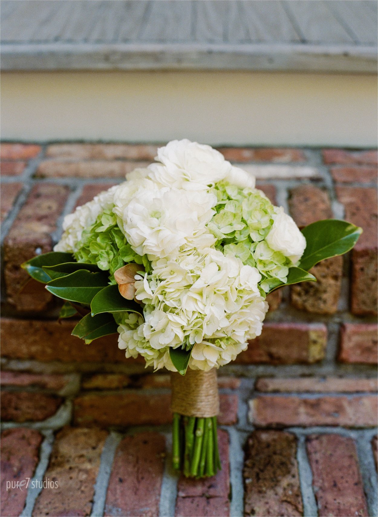 Гортензия метельчатая Bouquet Rose