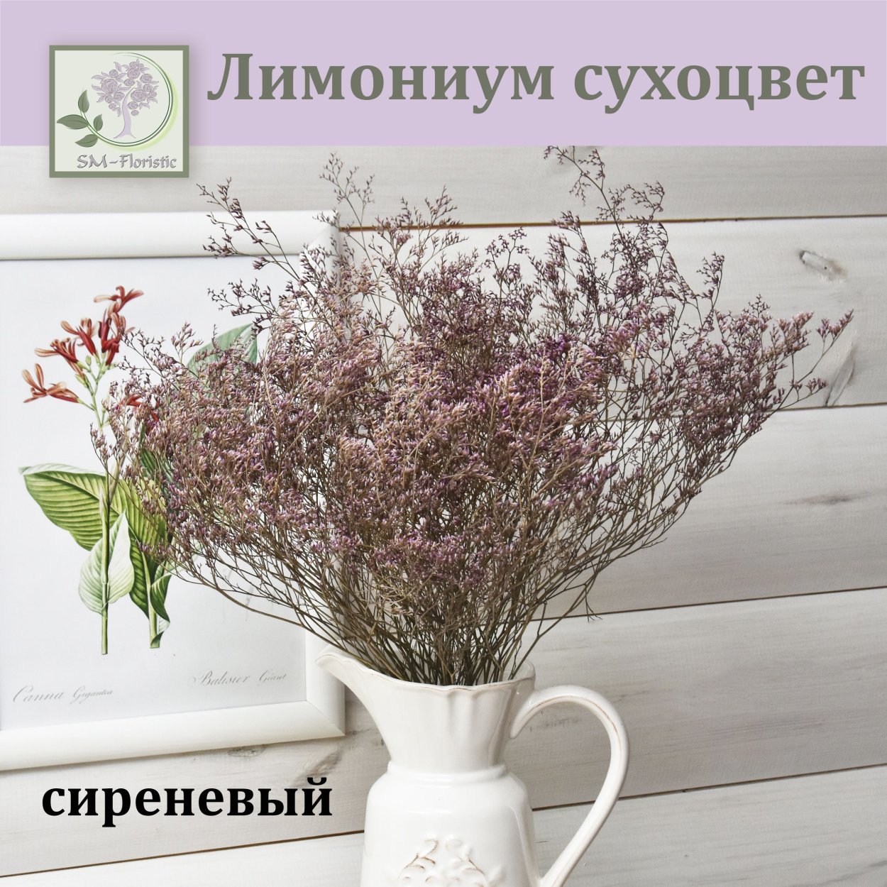 Лимониум отзывы