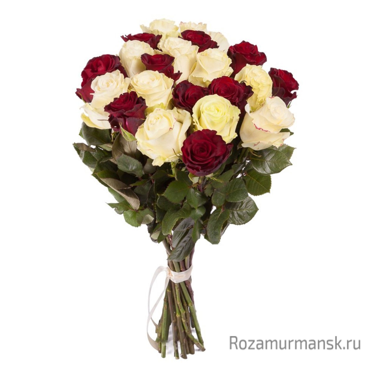 21 Роза микс 60 см