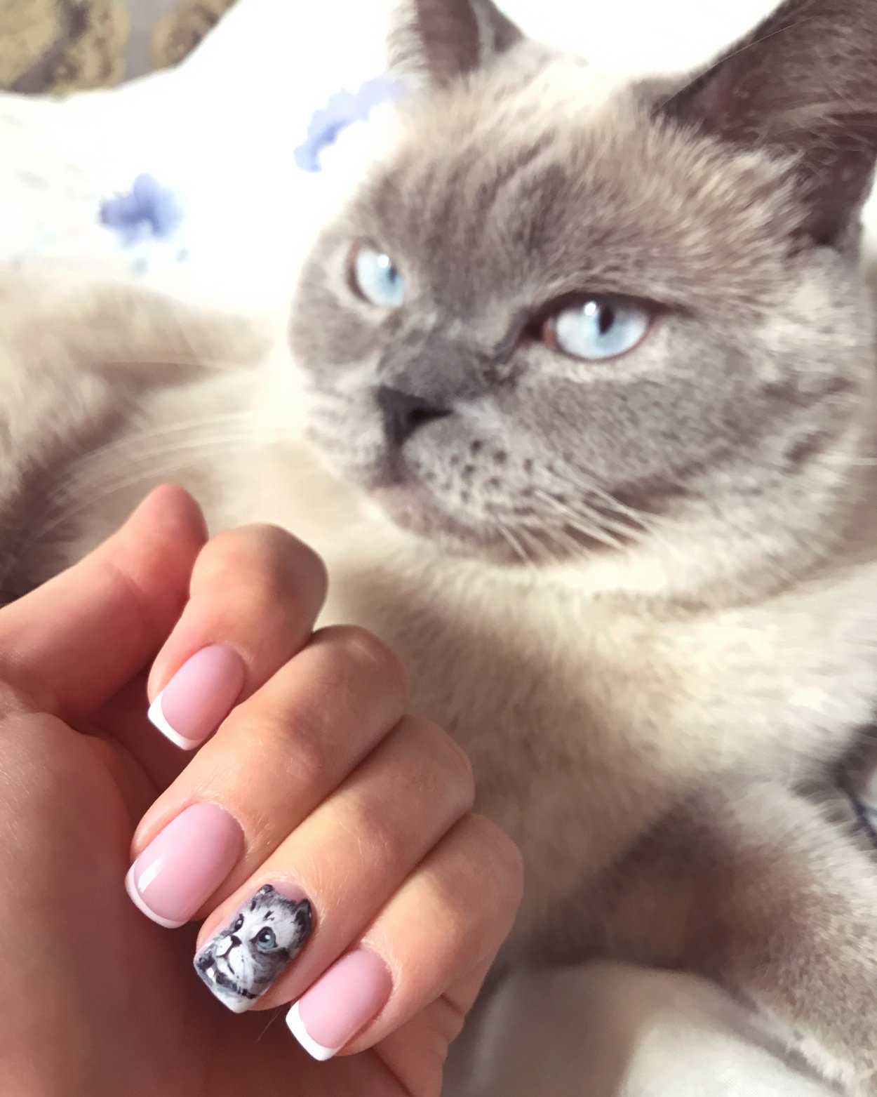 Маникюр с кошками на короткие ногти