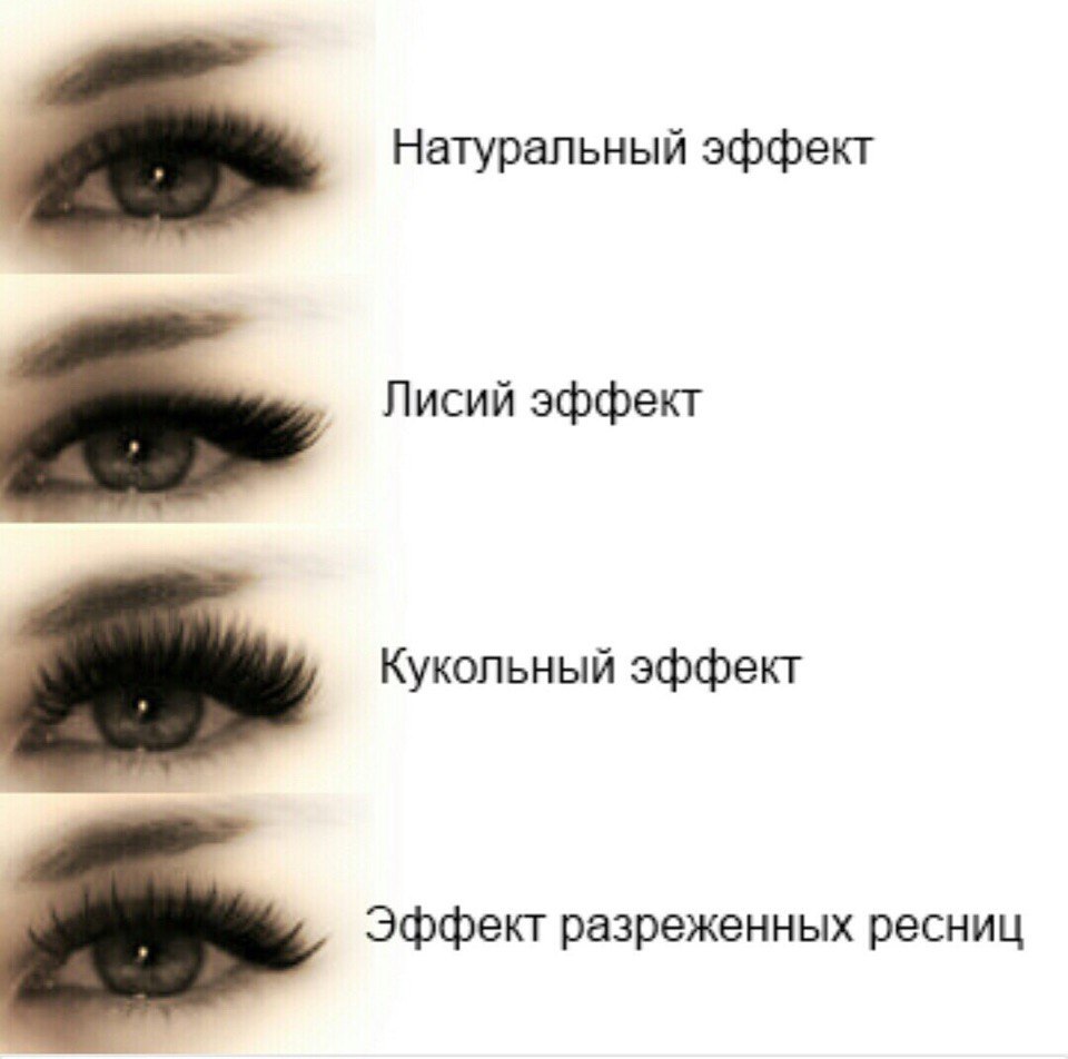 Кукольный эффект и беличий эффект