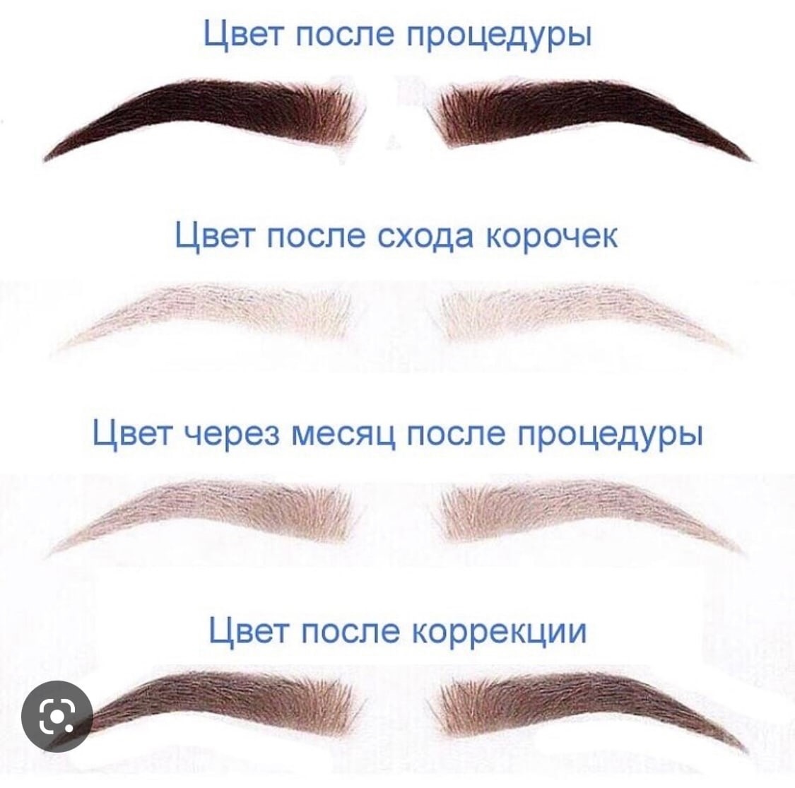 Этапы заживления перманентного макияжа бровей
