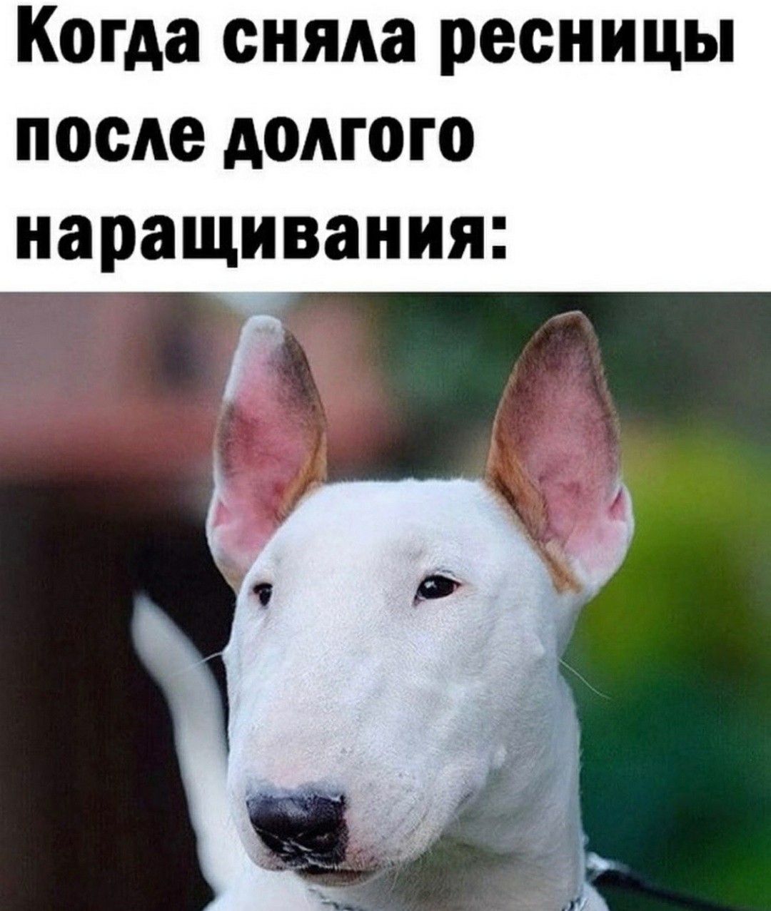 Когда убрала реснички картинка с приколом