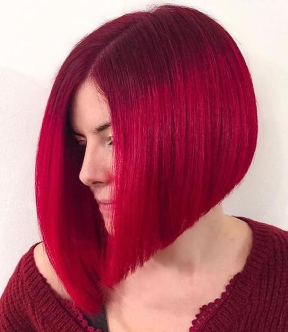 Pixie Bob стрижка красный
