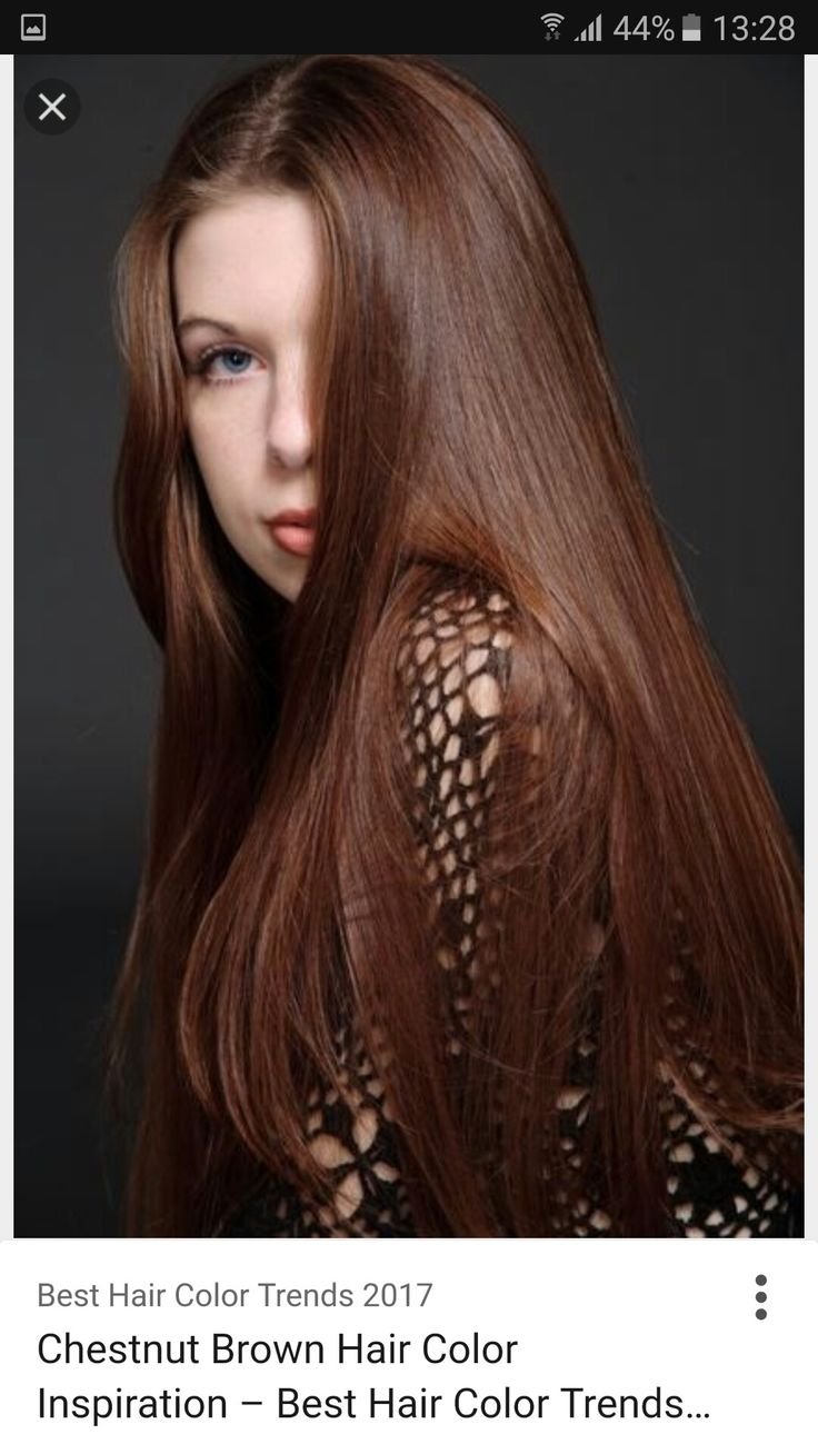 Chestnut Brown цвет волос