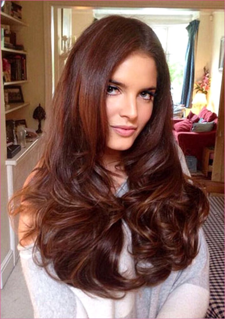 Chestnut Brown цвет волос