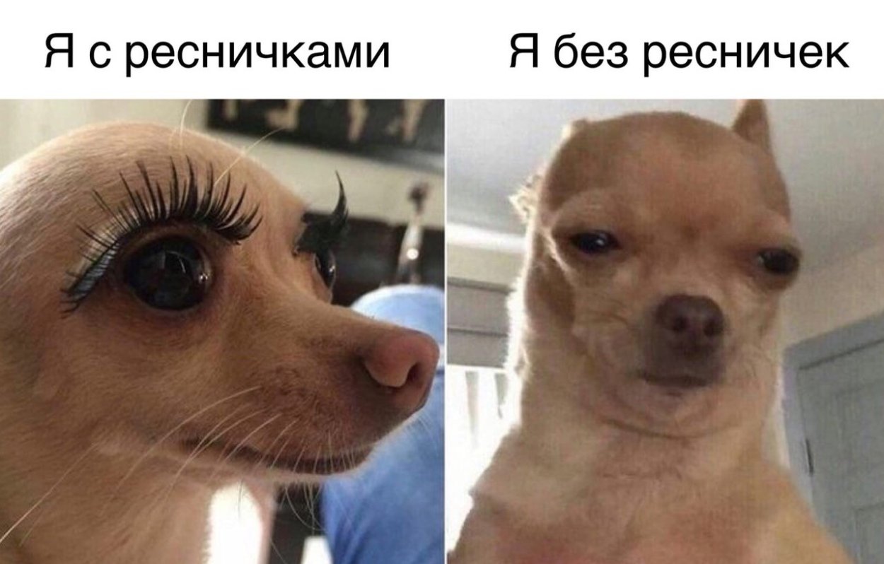 Приколы с нарощенными ресницами