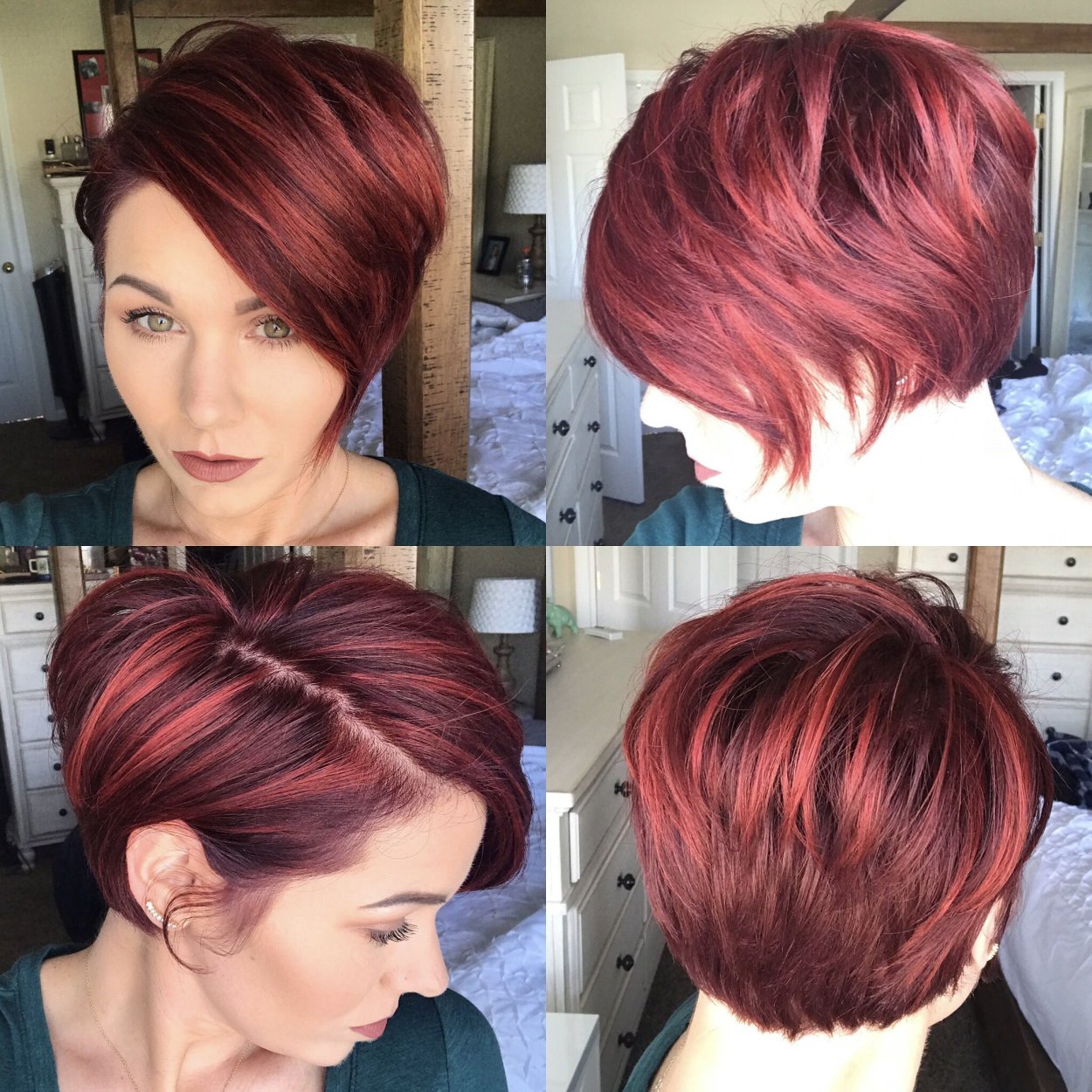 Pixie Bob стрижка красный
