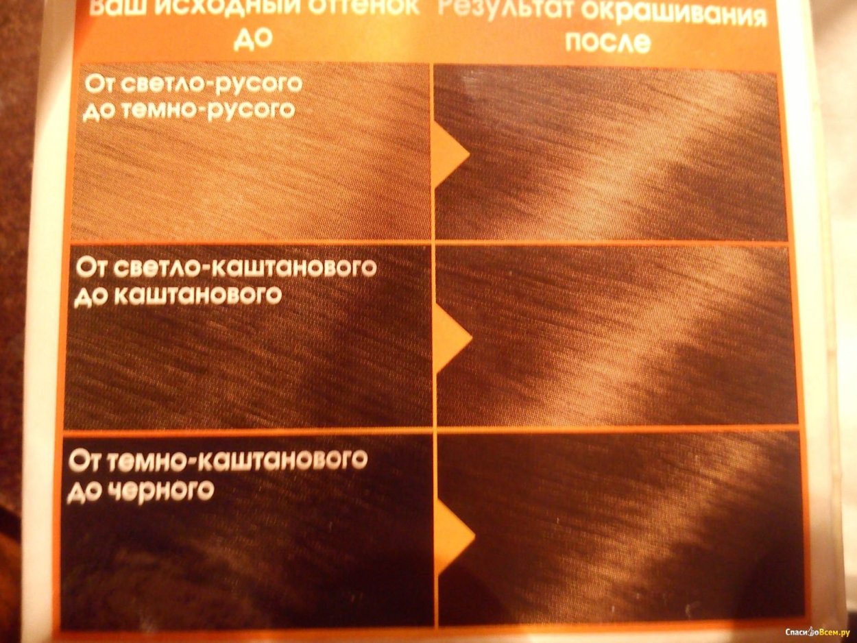 Краска гарньер ореховые оттенки